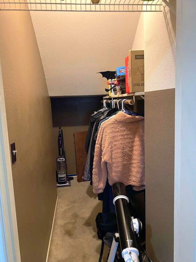 walk in closet with carpet