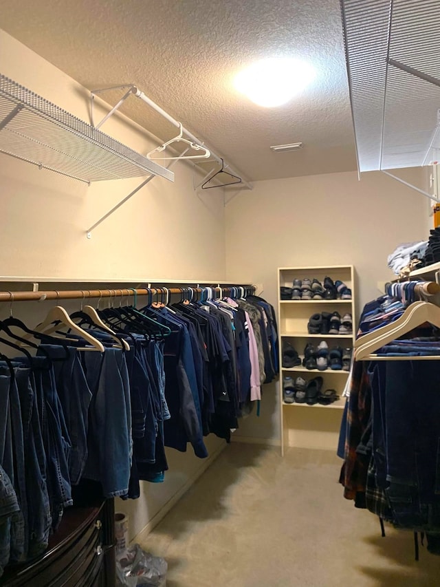 spacious closet with carpet flooring