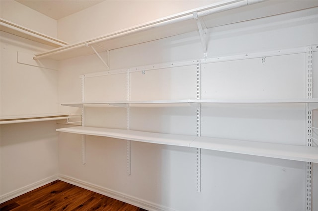 spacious closet featuring wood finished floors