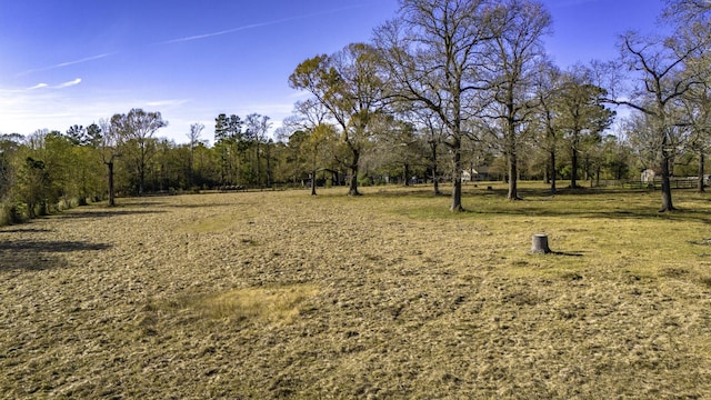 view of nature