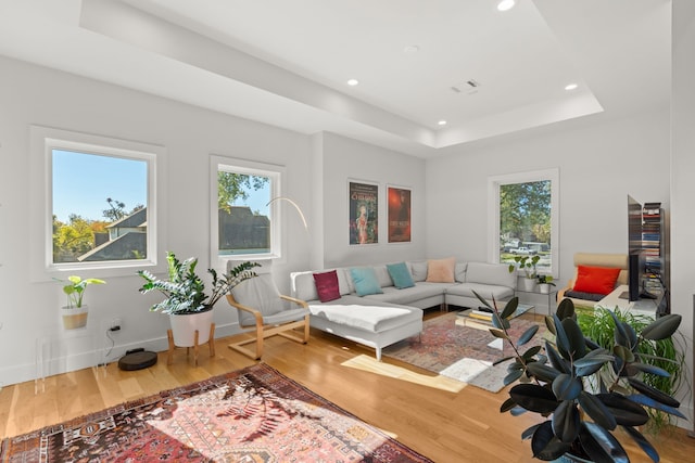 living room with a raised ceiling and hardwood / wood-style flooring