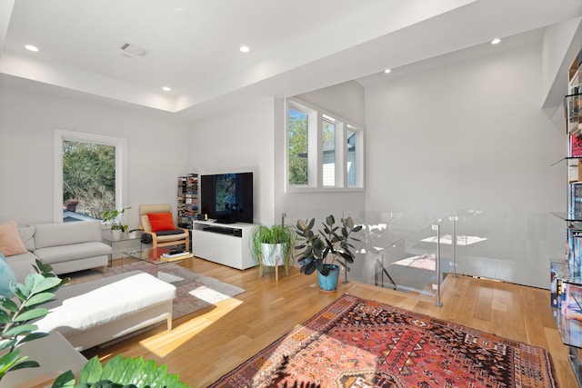 living room with a healthy amount of sunlight and light hardwood / wood-style floors