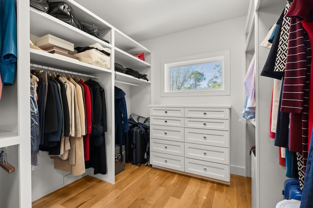 spacious closet featuring light hardwood / wood-style flooring