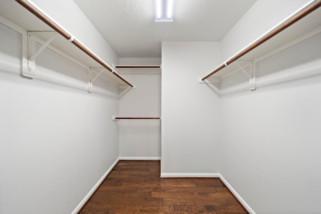 walk in closet featuring dark wood-type flooring