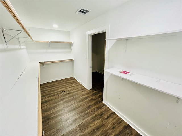 spacious closet featuring dark wood-type flooring