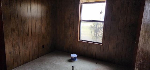 unfurnished room featuring wood walls and a healthy amount of sunlight