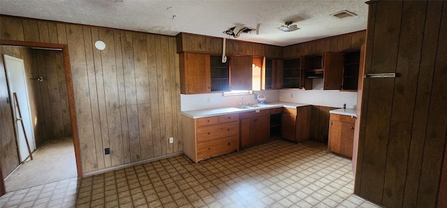 kitchen with sink, a textured ceiling, ventilation hood, and wood walls