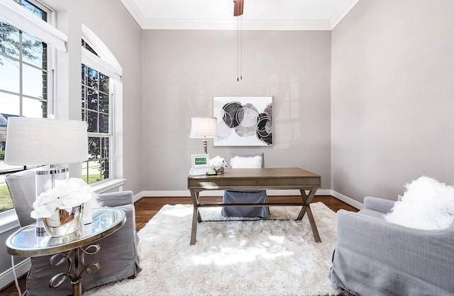 office area featuring dark wood-type flooring and crown molding