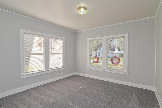 carpeted empty room featuring ornamental molding