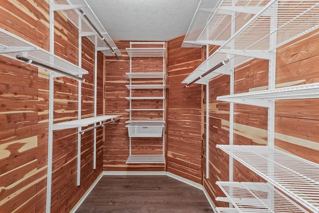 spacious closet featuring wood-type flooring