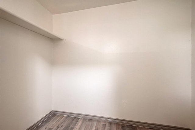 walk in closet featuring wood-type flooring