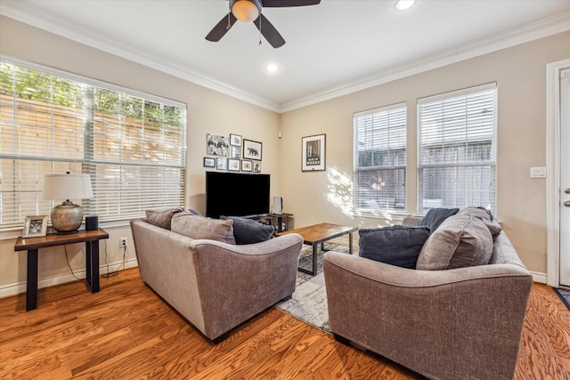 living room featuring ceiling fan, light hardwood / wood-style floors, and crown molding