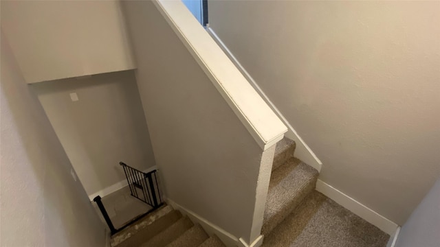 stairway featuring carpet