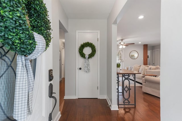 foyer with ceiling fan and dark hardwood / wood-style floors