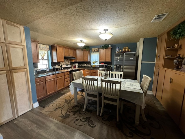 kitchen featuring sink, stainless steel appliances, dark hardwood / wood-style flooring, and backsplash