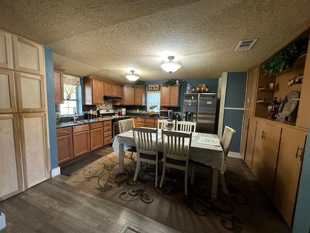 kitchen featuring stainless steel appliances, dark hardwood / wood-style flooring, sink, and backsplash