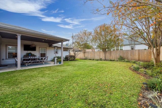 view of yard featuring a patio area