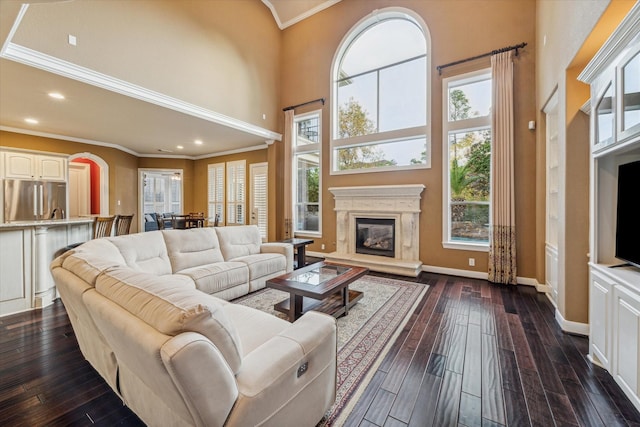 living room with a towering ceiling, dark wood-type flooring, ornamental molding, and a wealth of natural light