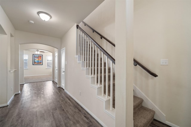 entryway featuring dark hardwood / wood-style flooring