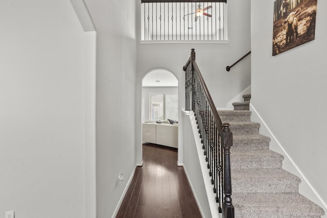 stairway featuring hardwood / wood-style floors