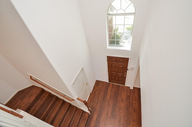 entryway with dark hardwood / wood-style floors and a towering ceiling