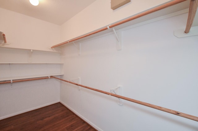 spacious closet with dark wood-type flooring