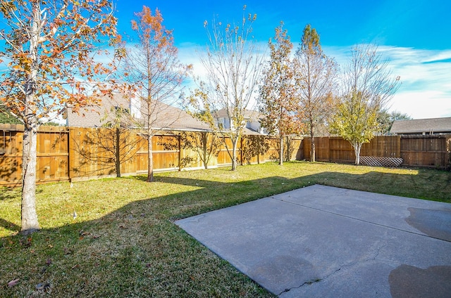 view of yard with a patio area