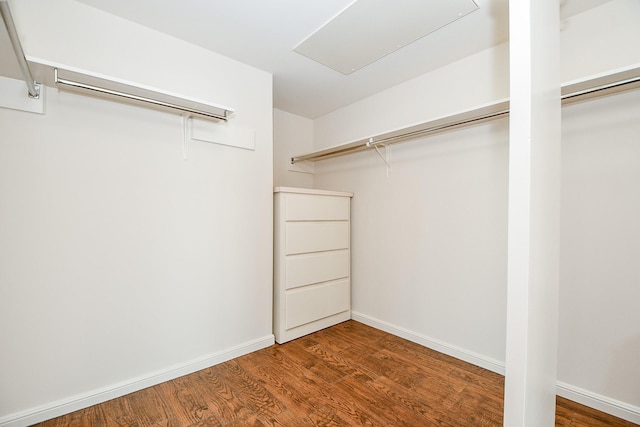 walk in closet with hardwood / wood-style flooring