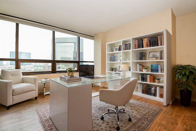 home office featuring light hardwood / wood-style floors