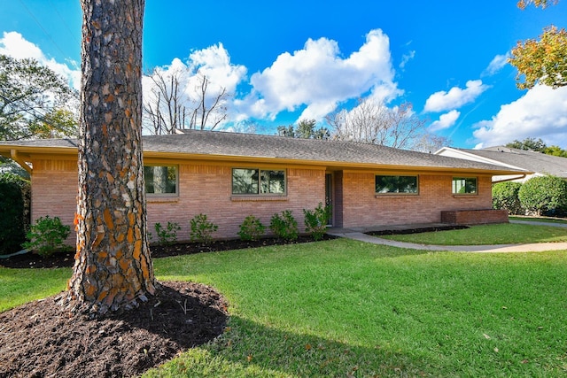 ranch-style house featuring a front yard