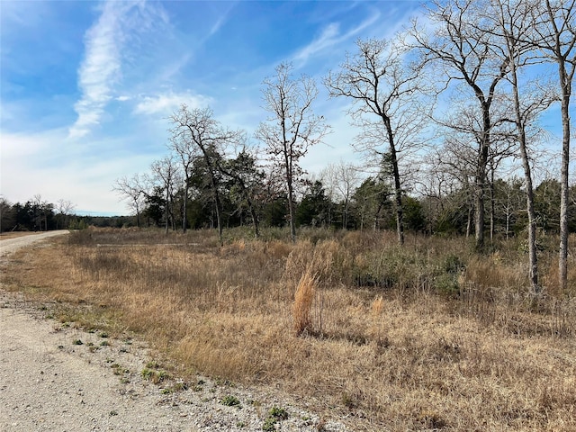 Listing photo 2 for TBD Cr 389, Jewett TX 75846