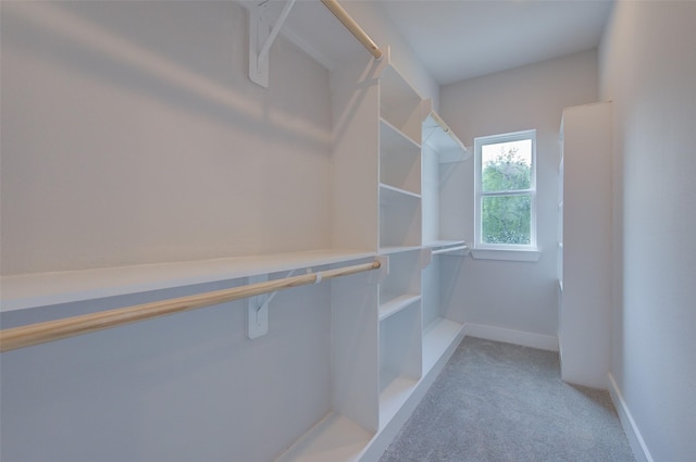 spacious closet featuring light colored carpet