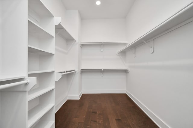 spacious closet featuring dark hardwood / wood-style floors