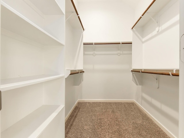 walk in closet featuring carpet