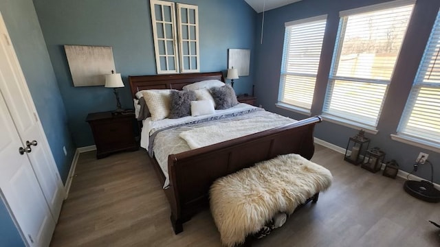 bedroom featuring multiple windows, lofted ceiling, and hardwood / wood-style floors