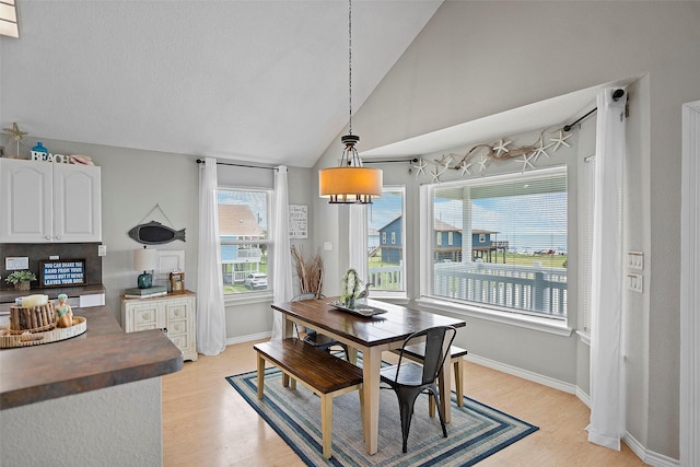 dining space with vaulted ceiling, light hardwood / wood-style floors, and plenty of natural light