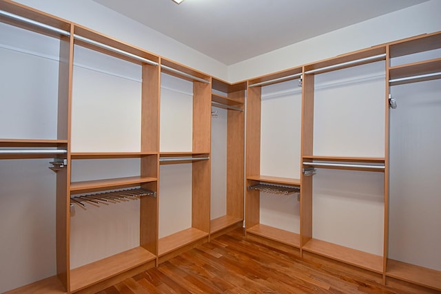 spacious closet with hardwood / wood-style flooring