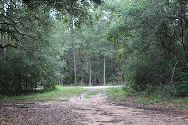 15780 Fm 1725th Rd, Cleveland TX, 77328 land for sale