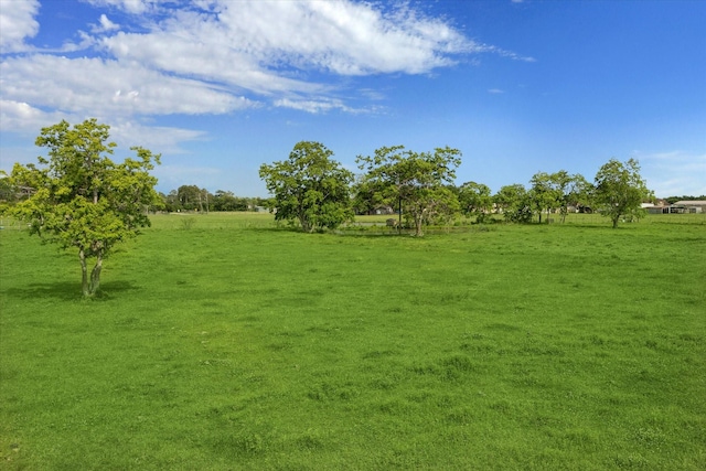 view of local wilderness featuring a rural view