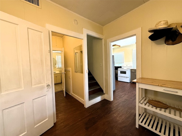 corridor with dark hardwood / wood-style floors