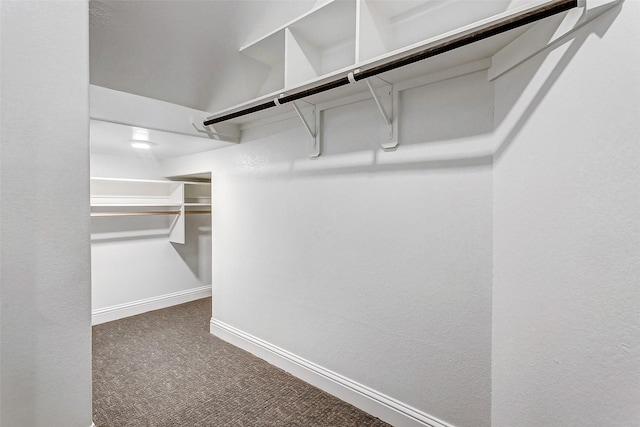 spacious closet with dark colored carpet