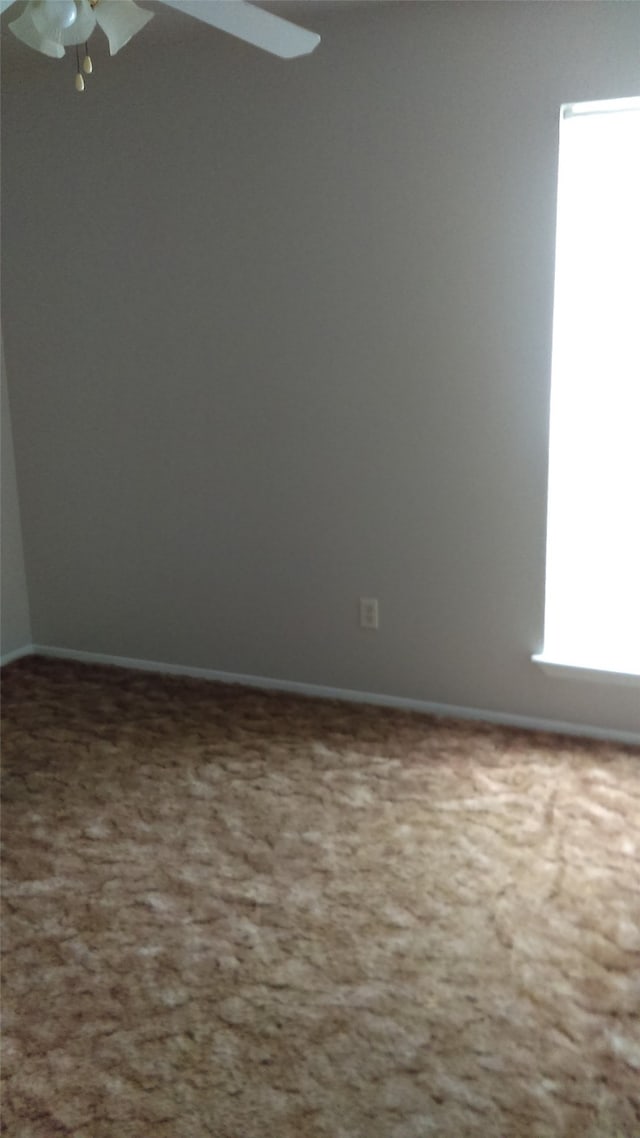 spare room featuring ceiling fan and carpet flooring