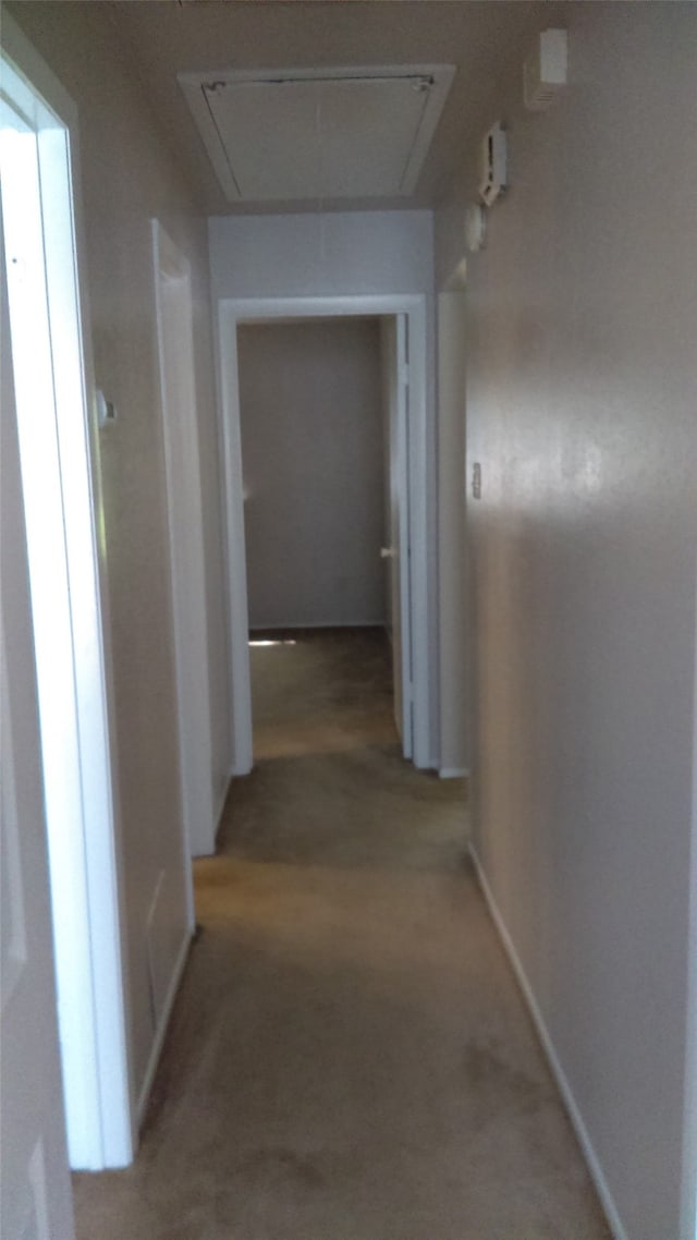 hallway featuring carpet