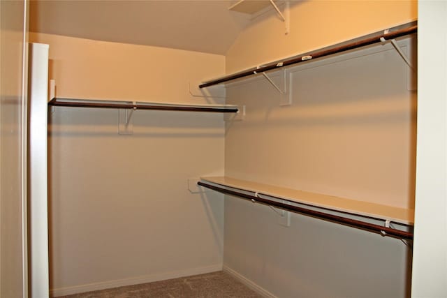 spacious closet with carpet flooring and vaulted ceiling