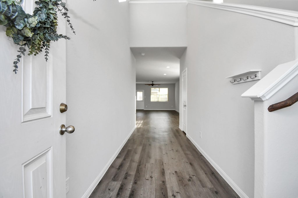 hall with dark hardwood / wood-style flooring