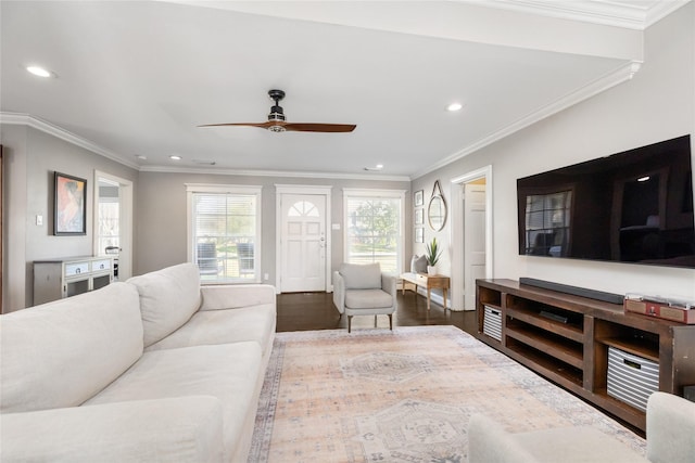 living room with ornamental molding, ceiling fan, and dark hardwood / wood-style flooring