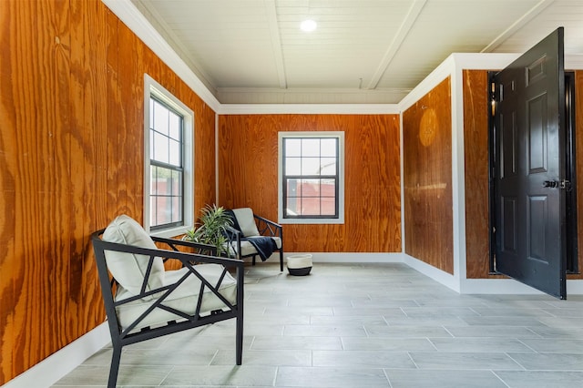 living area with wooden walls and a wealth of natural light