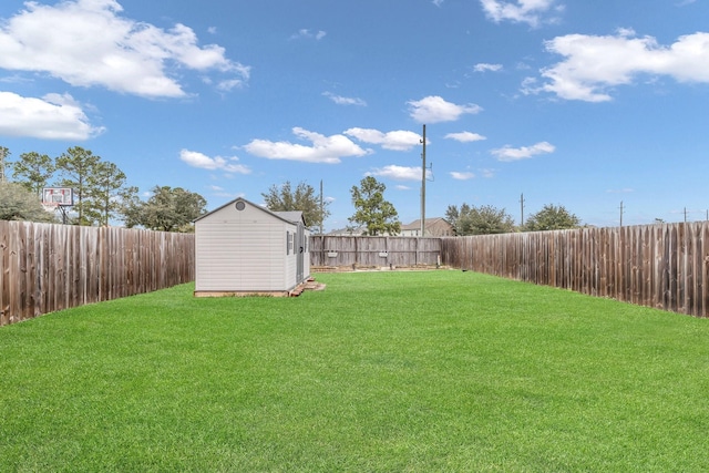 view of yard featuring a storage shed