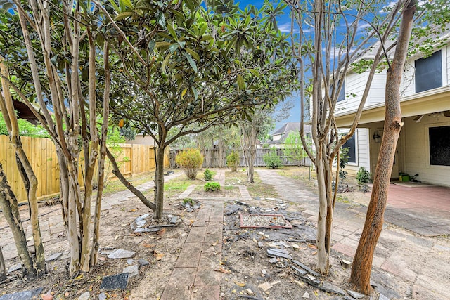 view of yard with a patio area