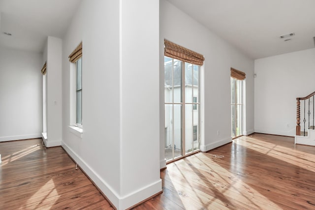 entryway with wood-type flooring